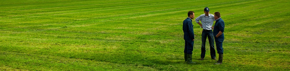 Existen tres aspectos de calidad de praderas y pasto: La calidad del pasto, la calidad nutricional y la sanidad animal.