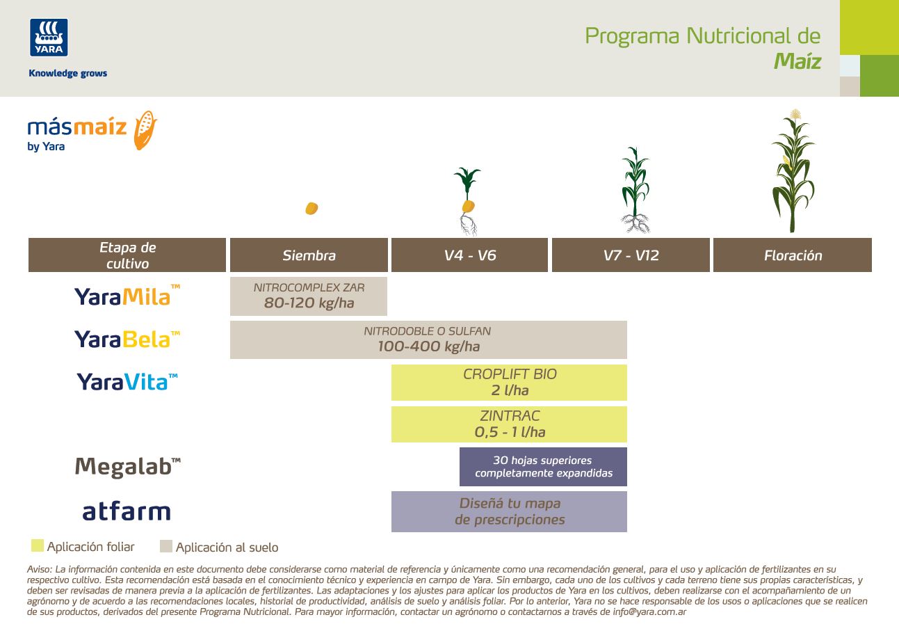 Programa de nutricion