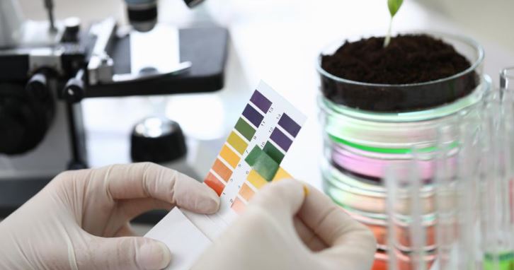 Muestra de suelo en laboratorio