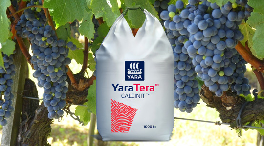 YaraTera