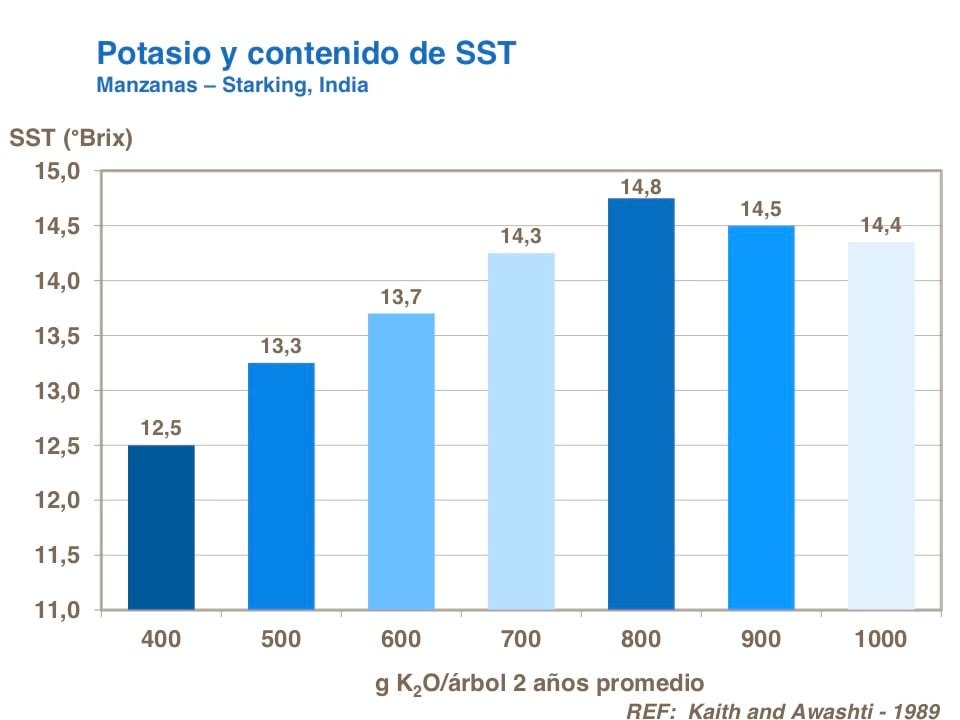 Potasio04